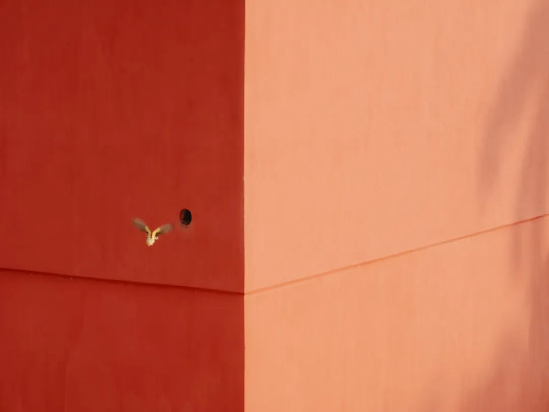 西安圣之锦商贸日用百货批发产品品类与品质管控解析